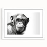 Framed wall art collection featuring a playful monkey and chimpanzee design, set in a white mat and frame, perfect for adding a whimsical touch to any room decor.