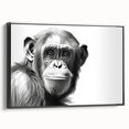 Framed wall art collection featuring a colorful monkey and ape chimpanzee design on canvas, showcasing vibrant colors and playful animal imagery in a stylish black frame. Perfect for adding a whimsical touch to modern decor.