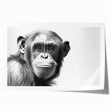 Vibrant wall art print featuring a whimsical design of a monkey and chimpanzee, showcasing playful colors and details, perfect for animal lovers’ decor.