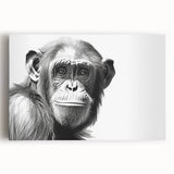 Colorful wall art design featuring a playful monkey and chimpanzee illustration on stretched canvas, ideal for children's rooms or wildlife lovers.