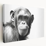 Stretched canvas wall art showcasing a vibrant monkey and ape design, featuring a playful chimpanzee in a colorful jungle setting, perfect for children's rooms.