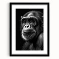 Charming wall art collection featuring a framed design of a monkey and chimpanzee, presented in a sleek black frame with a white matting, perfect for animal lovers and modern decor.