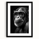 Charming wall art collection featuring a framed design of a monkey and chimpanzee, presented in a sleek black frame with a white matting, perfect for animal lovers and modern decor.