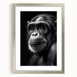 Framed wall art depicting a playful chimpanzee design, set in a sleek silver frame with a white mat, perfect for adding a whimsical touch to modern decor.