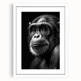 Framed wall art collection featuring a playful monkey and chimpanzee design, set against a white mat for an elegant presentation, perfect for animal lovers.