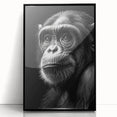 Framed wall art collection showcasing a vibrant monkey and ape design, featuring a chimpanzee in a black frame, perfect for nature-themed decor.