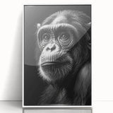 Framed wall art collection featuring a stylish design of a chimpanzee and monkey, showcased in a white frame with a sleek acrylic finish, perfect for modern decor.