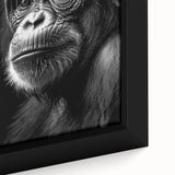 Close-up of a framed canvas wall art featuring a vibrant monkey and chimpanzee design, showcasing intricate details and colors, perfect for animal lovers' decor.