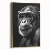 Framed wall art showcasing a stylish monkey and chimpanzee design on canvas, featuring a gold frame and vibrant colors, perfect for modern decor.