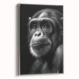 Framed canvas wall art featuring a detailed design of a monkey and an ape, showcasing vibrant colors and a silver frame, perfect for animal lovers' decor.