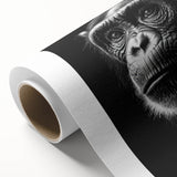 Colorful rolled canvas art featuring a whimsical monkey and ape design, showcasing detailed illustrations of chimpanzees, perfect for enhancing home decor.