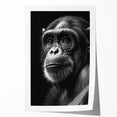Colorful wall art print featuring a playful chimpanzee design, showcasing vibrant colors and intricate details, perfect for animal lovers and home decor enthusiasts.
