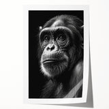 Colorful wall art print featuring a playful chimpanzee design, showcasing vibrant colors and intricate details, perfect for animal lovers and home decor enthusiasts.