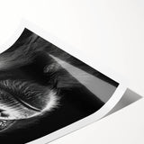 Colorful wall art print featuring a playful monkey and chimpanzee design, showcasing vibrant colors and intricate details, perfect for animal lovers' home decor.