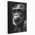 Stretched canvas wall art showcasing a vibrant monkey and ape chimpanzee design, featuring rich colors and intricate details, perfect for animal lovers and modern decor.
