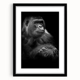 Framed wall art design featuring a playful monkey and ape gorilla illustration in a modern black frame with a white mat, perfect for animal-themed decor.