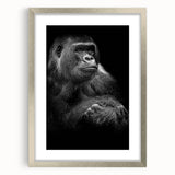 Framed wall art featuring a stylish silver mat showcasing a vibrant monkey and gorilla design, perfect for adding a pop of color to modern decor.