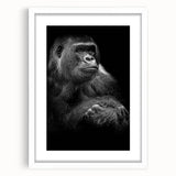 Framed wall art featuring a playful monkey and gorilla design in vibrant colors, set against a white mat, perfect for adding a whimsical touch to children's rooms or nurseries.