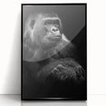 Framed wall art featuring a vibrant monkey and ape gorilla design, displayed in a sleek black frame, perfect for animal lovers and modern decor enthusiasts.