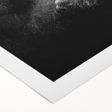 Rolled canvas artwork showcasing a vibrant monkey and ape gorilla design, perfect for adding a playful touch to home decor, packaged securely in a protective tube.