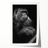 Vibrant rolled print showcasing a detailed monkey and ape design, featuring rich colors and intricate patterns, perfect for animal-themed home decor.