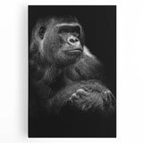 Stretched canvas wall art featuring a vibrant monkey and ape gorilla design, showcasing intricate details and bold colors, perfect for adding a playful touch to home decor.