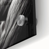 Close-up of a vibrant acrylic glass wall art featuring a striking monkey and ape gorilla design, showcasing intricate details and bold colors, perfect for wildlife enthusiasts.