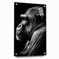 Acrylic wall art featuring a vibrant design of a monkey and ape in a playful pose, showcased from the side with decorative pins, perfect for adding a whimsical touch to any room.