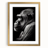 Framed wall art featuring a stylish gorilla and monkey design with a gold mat, perfect for modern decor. Ideal for animal lovers and unique interior styling.