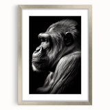 Framed wall art featuring a stylish silver mat showcasing a vibrant monkey and ape gorilla design, perfect for adding wildlife-themed decor to modern interiors.