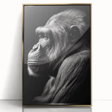 Framed wall art featuring a striking design of a monkey and gorilla, set in an elegant gold-acrylic frame, ideal for animal lovers and modern decor.