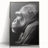 Framed wall art featuring a vibrant design of a monkey and ape gorilla, set in a sleek silver-acrylic frame, perfect for modern home decor.