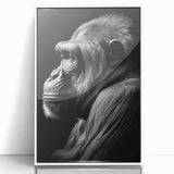 Framed wall art featuring a vibrant monkey and ape gorilla design, set against a white background, showcasing intricate details and bold colors, perfect for wildlife enthusiasts.
