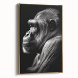 Framed canvas wall art showcasing a striking design of a monkey and ape, with a gold border, perfect for adding a touch of wildlife elegance to any space.