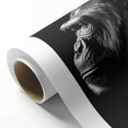 Rolled canvas featuring a vibrant monkey and ape gorilla design, ideal for animal lovers and modern decor, presented in a protective cardboard tube for safe shipping.