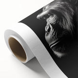 Rolled canvas featuring a vibrant monkey and ape gorilla design, ideal for animal lovers and modern decor, presented in a protective cardboard tube for safe shipping.