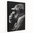 Stretched canvas wall art showcasing a vibrant monkey and ape gorilla design, featuring bold colors and intricate details, perfect for wildlife enthusiasts' decor.
