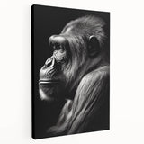 Stretched canvas wall art showcasing a vibrant monkey and ape gorilla design, featuring bold colors and intricate details, perfect for wildlife enthusiasts' decor.