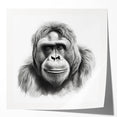 Colorful wall art collection featuring a playful monkey and a majestic gorilla design, printed on glossy canvas, ideal for modern home decor and wildlife enthusiasts.