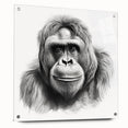 Acrylic wall art piece showcasing a vibrant monkey and ape gorilla design, displayed in a side view with pins for mounting, perfect for wildlife enthusiasts.