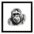 Framed wall art featuring a striking monkey and ape gorilla design on a black background, showcasing intricate details and vibrant colors, perfect for animal lovers.