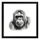 Framed wall art featuring a striking monkey and ape gorilla design on a black background, showcasing intricate details and vibrant colors, perfect for animal lovers.