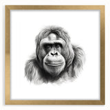 Framed wall art featuring a detailed illustration of a monkey and gorilla design in a gold frame, showcasing vibrant colors and intricate patterns, perfect for animal lovers and modern decor.