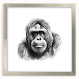 Framed wall art showcasing a playful monkey and gorilla design in a silver frame, complete with a white mat, ideal for adding a whimsical touch to modern decor.