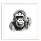 Framed wall art collection featuring a vibrant monkey and ape gorilla design, set against a white mat, ideal for adding a playful touch to home decor.