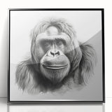 Framed wall art featuring a striking black and white design of a monkey and gorilla, showcasing intricate details and textures, perfect for animal lovers and modern decor.