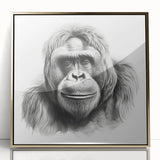 Framed wall art collection featuring a detailed design of a monkey and gorilla in vibrant colors against a gold background, ideal for modern decor.