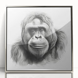 Framed wall art featuring a striking silver-acrylic design of a monkey and gorilla, showcasing vibrant colors and intricate details, ideal for animal lovers and modern decor.