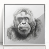 Framed wall art showcasing a vibrant monkey and ape gorilla design, featuring a sleek white frame and acrylic front, perfect for adding a playful touch to modern decor.