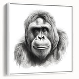 Framed wall art featuring a vibrant monkey and ape gorilla design on canvas, displayed in a modern white frame, perfect for animal lovers and home decor.